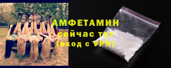 ГАЛЛЮЦИНОГЕННЫЕ ГРИБЫ Михайлов
