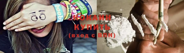 ГАЛЛЮЦИНОГЕННЫЕ ГРИБЫ Михайлов
