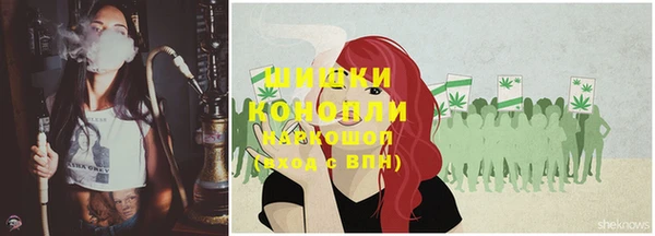 spice Мегион