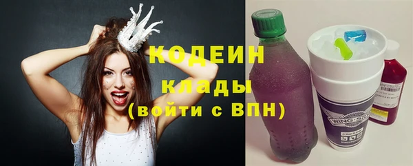 ГАЛЛЮЦИНОГЕННЫЕ ГРИБЫ Михайлов