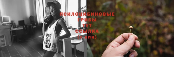 соль курить ск Медвежьегорск