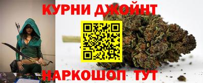 кокс Кингисепп