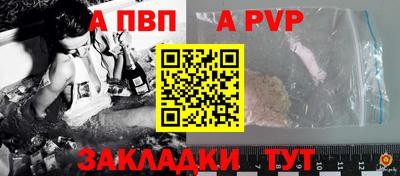 кокс Кингисепп
