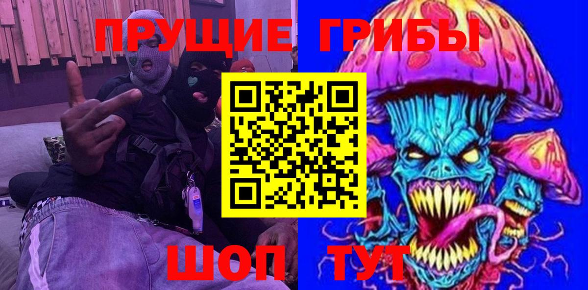 Псилоцибиновые грибы Psilocybine cubensis  Можайск 