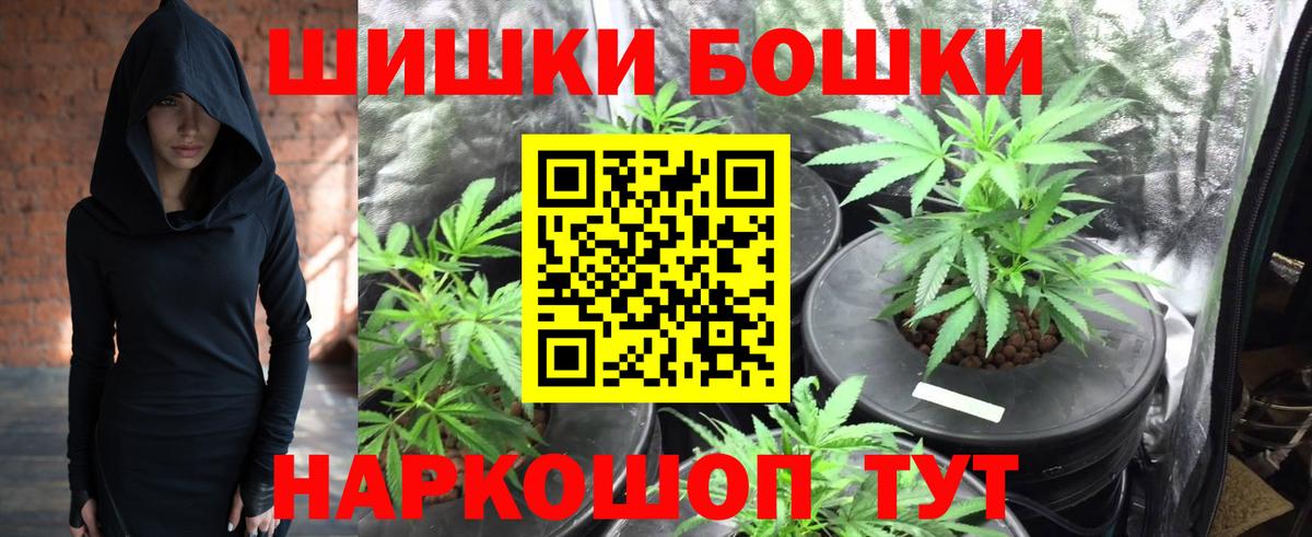 Конопля гибрид Можайск